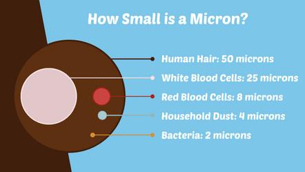 Human hair 50 clearance microns