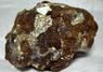 golden PYRITE and brown GARNET, MAGNETITE, CALCITE - Sulphur Hill Mine (Sulfur Hill Mine), Andover Township, Sussex County, New Jersey, USA - for sale