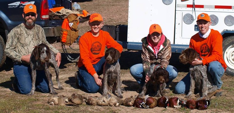 German Wirehaired Pointer, GWP - Yeti Rambler - Wind River Outpost