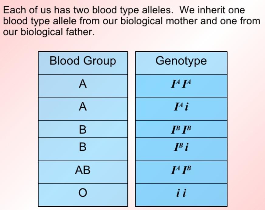 211lab-bloodtypetesting-paternity