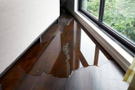 water puddle on hardwood floor.