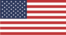 USA Flag Logo