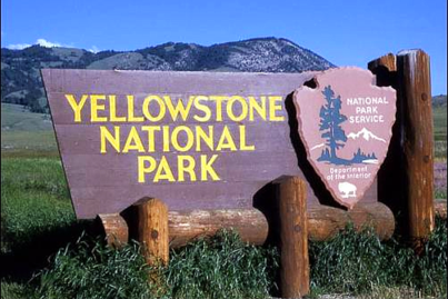 yellowstone National Park, Tracy Harris silk Artist