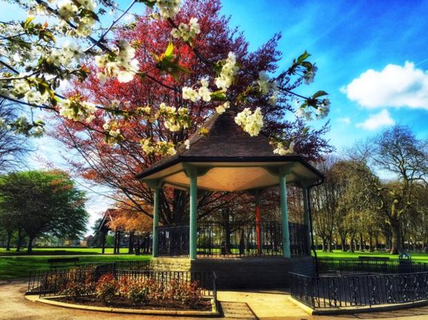 Our beautiful bandstand (image courtesy of JW)