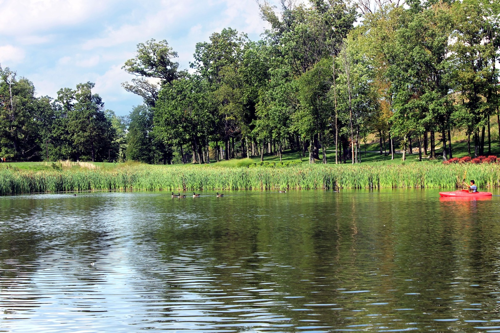 Geese Police of Western Pennsylvania PA Brandon Bowen Man in kayak chasing problem canada geese