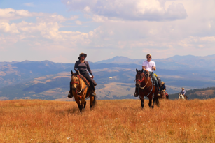 Yellowstone National Park, horseback riding, pack trips