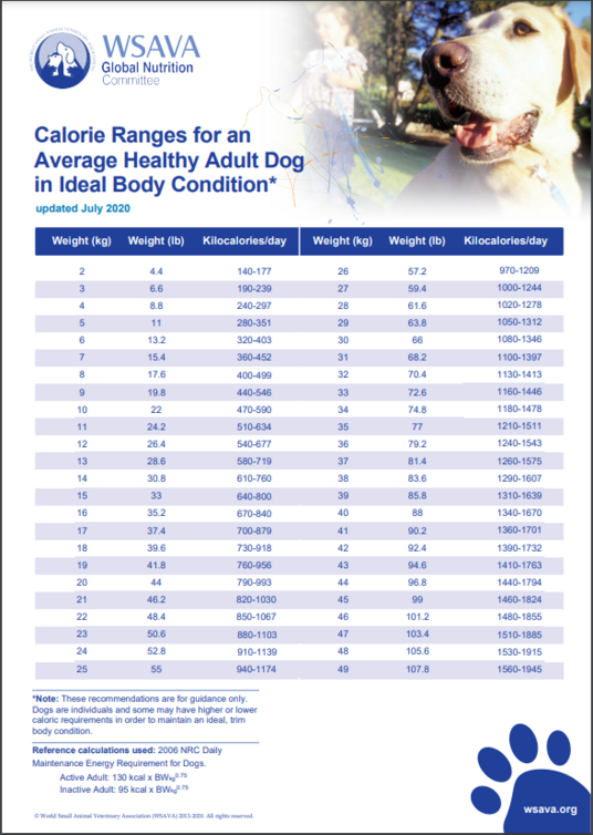 Pet Nutrition