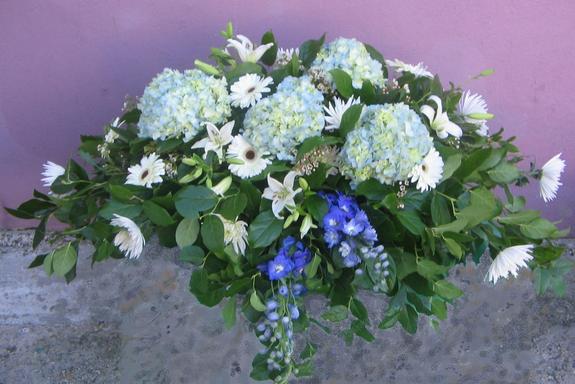 Spray done in blues and whites with hydrangea, gerbera daisies, hybrid delphinium, fuji mums, lilies, and wax flower