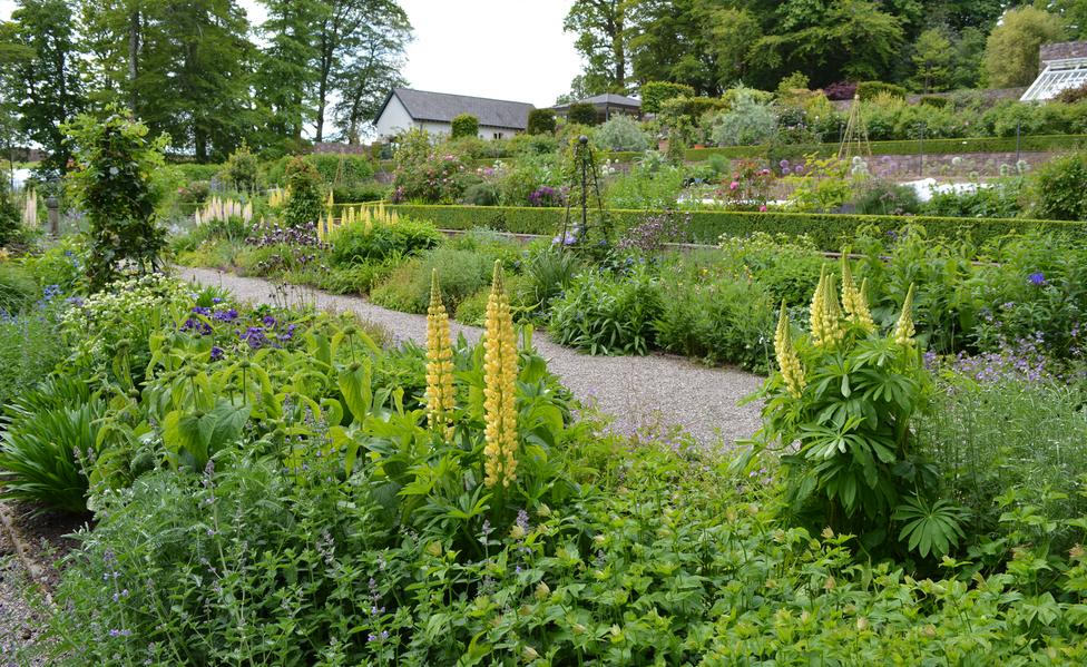 Daphne Levinge Shackleton - Real Gardens for Special Places