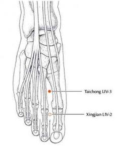 Liver 3 Acupuncture Point (loation & Functions) 