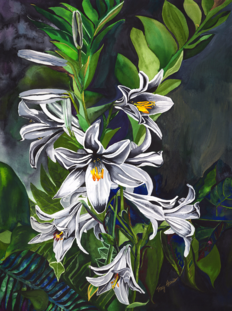 Tracy Harris Watercolor, White Lilies, Limited Edition Giclee, Watercolor Artist Tracy Harris