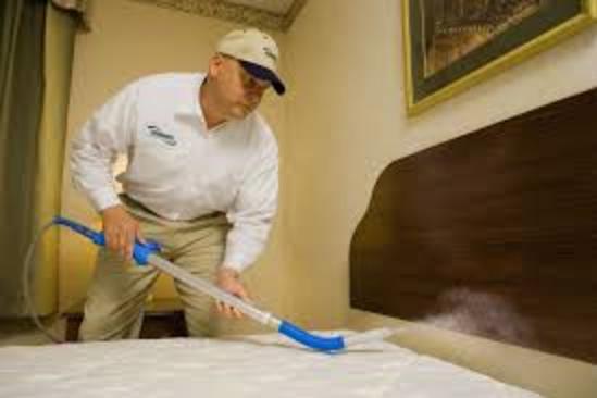 Professional Bed Bug Prep Cleaning Service and Cost Las Vegas NV MGM Household Services