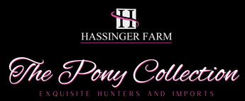 The Hassinger Pony Collection is comprised of top quality division and green ponies from both the US and abroad for sale and lease.