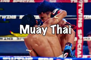 Muay Thai Lumpinee Boxing Stadium Bangkok