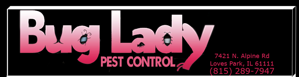 Bug Lady Pest Control - Loves Park, IL