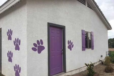 Local Dog Grooming Shop Near You in Queen Creek