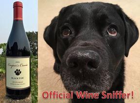 cooper (black labrador retriever) and a bottle "official wine sniffer"of his petite sirah blackpaw wine