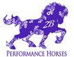 2B Performance Horses