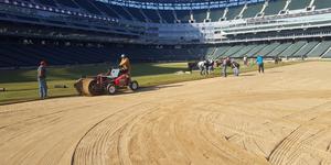 Field Renovation