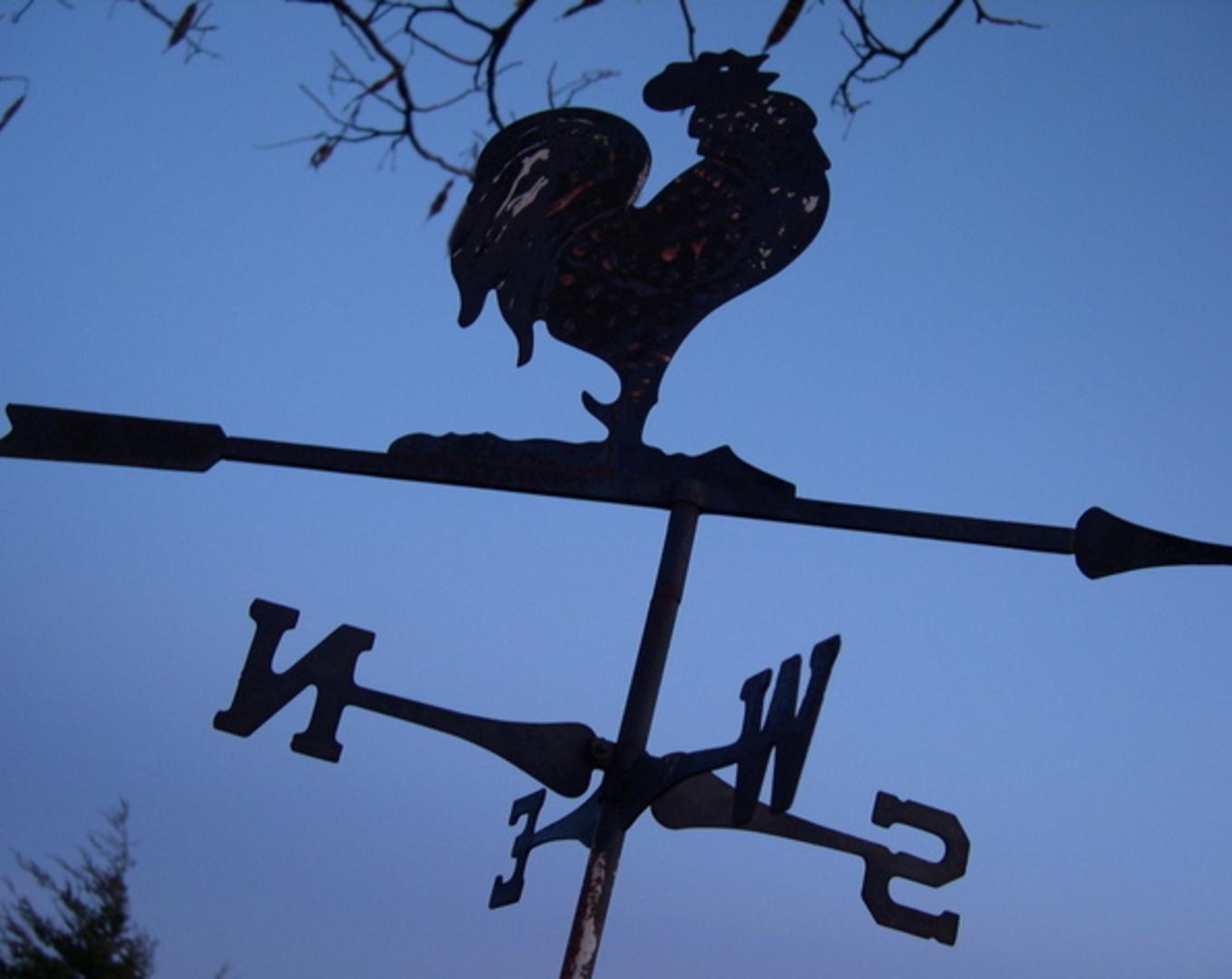 rooster-shaped weathervane in lavender dawn
