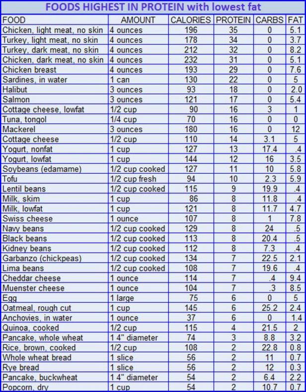 Macronutrients chart; Portions, grams and Calories in Protein; animal and plant based source.