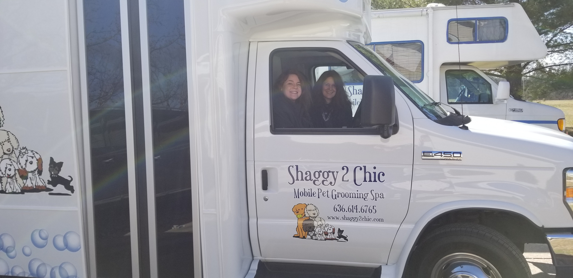 Shaggy to best sale chic dog grooming