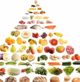 Nutrition Guide & Diet Groups