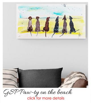 German shorthaired pointers, dogs, GSP, beach scene,