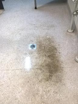 Concrete Build Up Removal Vinyl, Concrete Cleanup Vinyl
