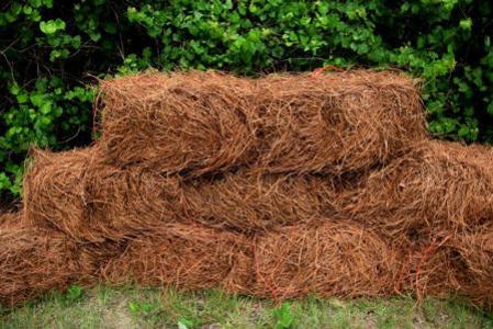 Pine Straw Bales