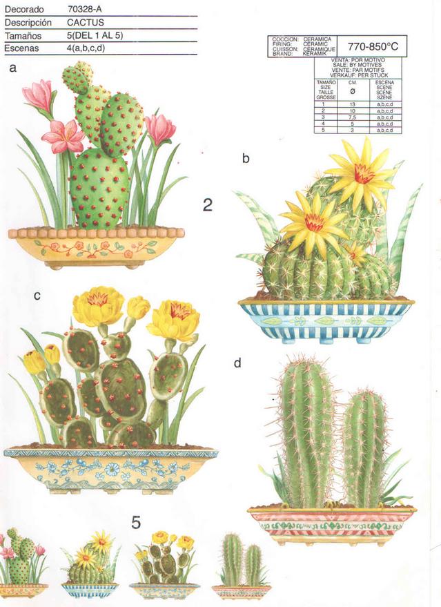 Cactus Calcas cerámicas by Calcodecal Ceramic decals