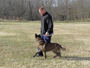 Greg Williams and Apache heeling