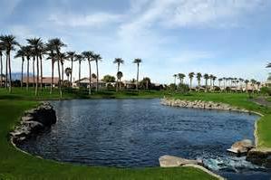 About Sun City Palm Desert  Schools, Demographics, Things to Do 