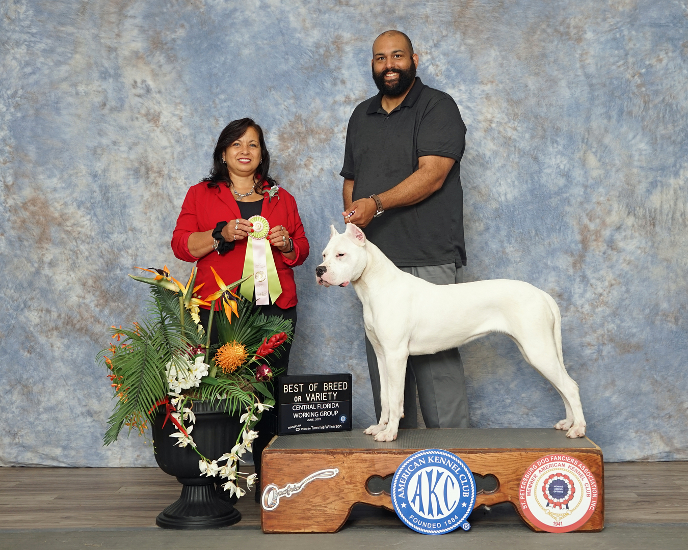 La Historia Dogo Argentino Breeder - Dogo Argentino Kennels