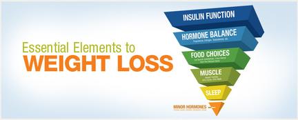 Essential Elements to Weight Loss