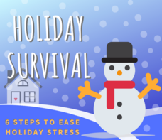 Holiday Survival