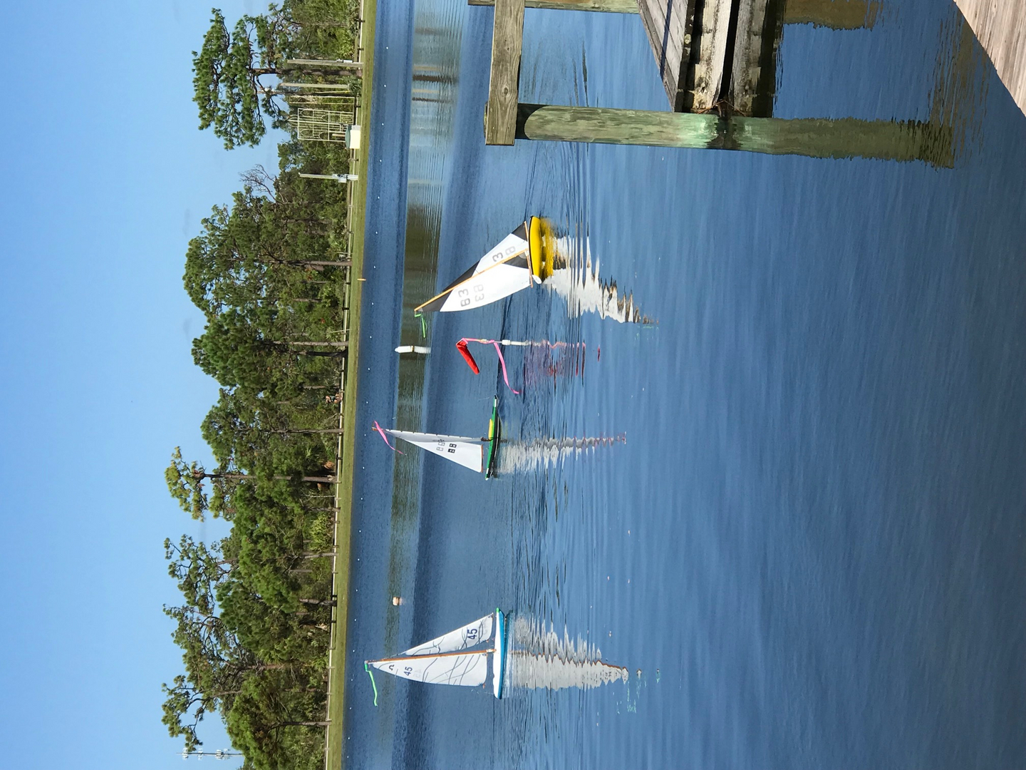 Radio Control Sailboating at Wickham Park