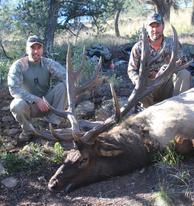 Elk & elk hunters