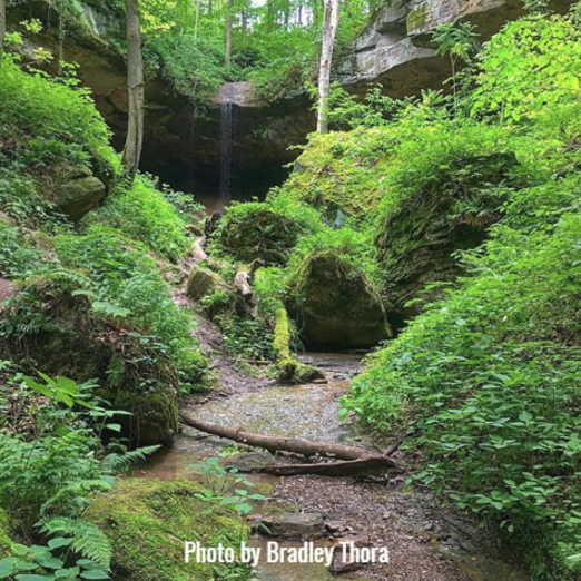 Salt Fork State Park Hiking Trails Hosak's Cave Falls