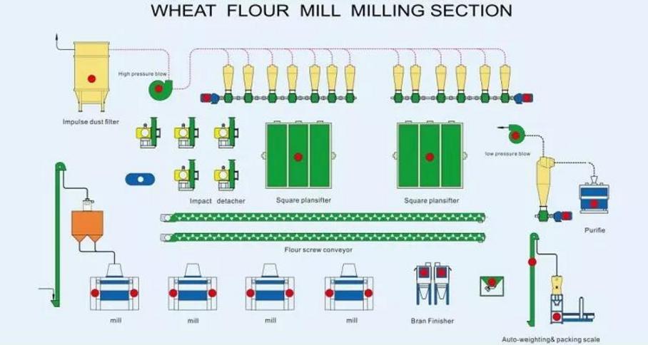 Flow chart of 42t per day wheat mill