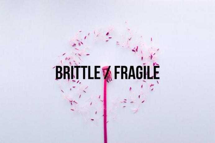 Brittle-Fragile Exhibition WESTIVAL 2019 - HANDLE WITH CARE! takes inspiration from, and pays homage to the theme ‘BRITTLE / FRAGILE’. The festival’s heart, its flagship visual-arts exhibition