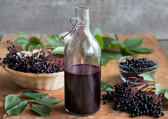 Elderberry Syrup recipe, Natural healing