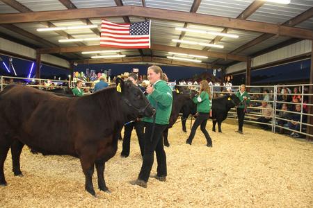 2023 Flagler County Fair and Youth Show