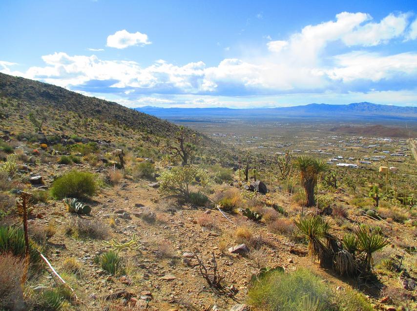 Dolan Springs Community Council, DSCC