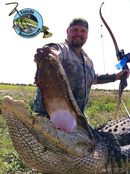 Florida Gator Hunting  Florida Bowfishing Adventures