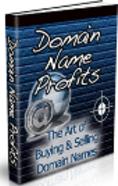 Domain names profits