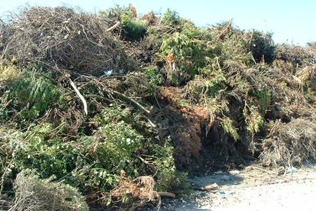 Commercial Yard Waste Removal And Recycling In Lincoln NE | LNK Junk Removal