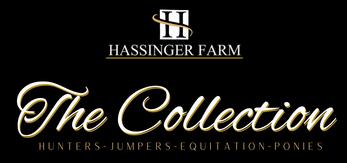 The Spring Collection of Hassinger Horses includes top quality hunter, jumpers and equitation mounts for sale and lease.