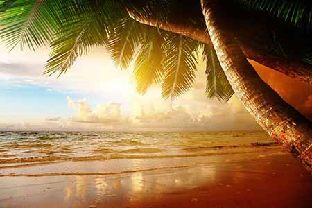 Tropical beach with palm trees against a beautiful sunset