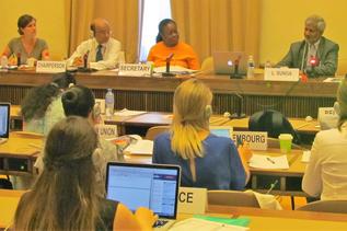 Lyal S. Sunga CERD UN Committee on Racial Discrimination Geneva Switzerland